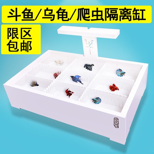 隔离桌面蜘蛛繁殖亚克力乌龟缸