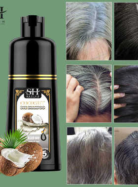 500ml Hair Color Shampoo Black Hair Dye Coconut Ginger洗发