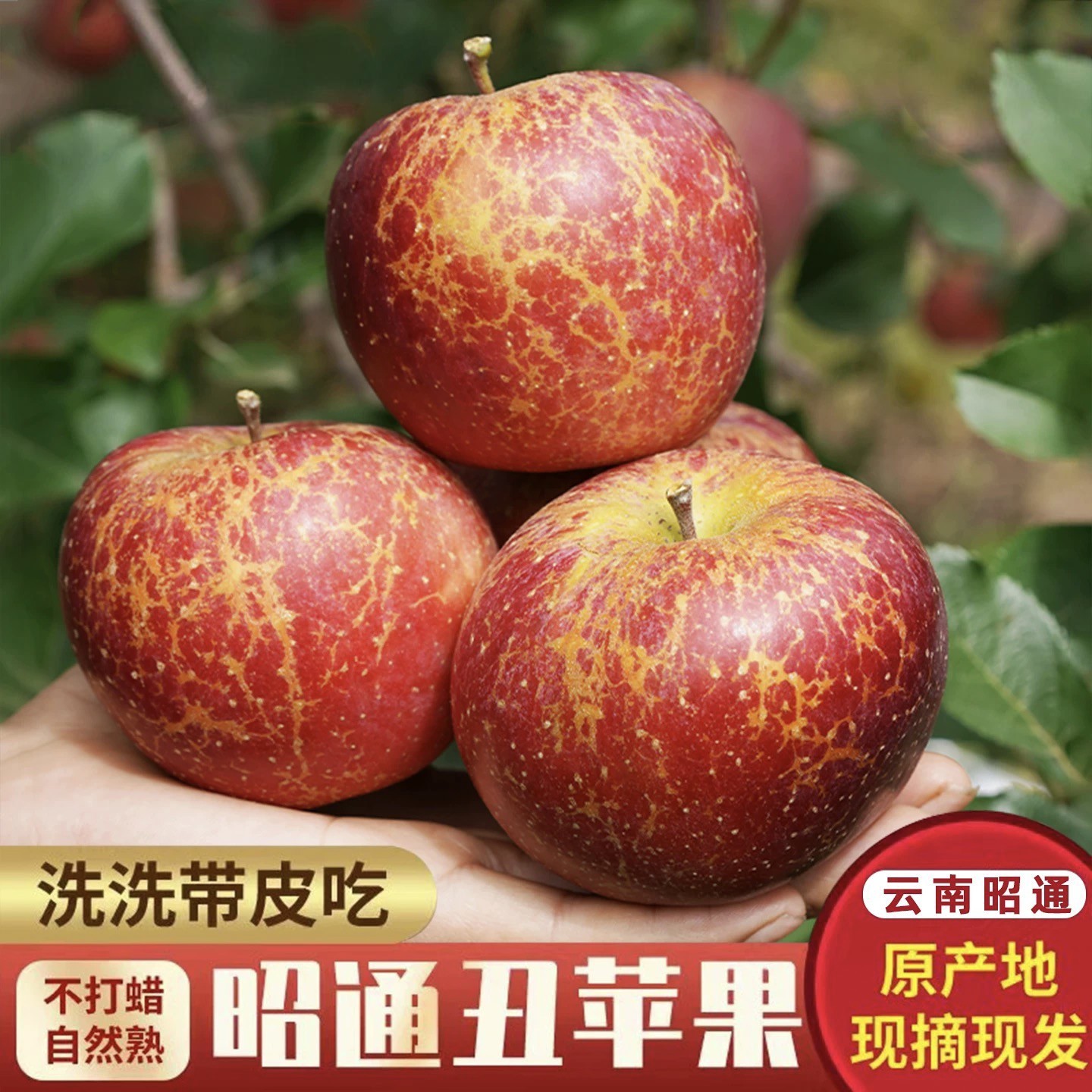 云南昭通冰糖心丑苹果脆甜香多汁当季应季水果孕妇宝宝迷你冰糖甜