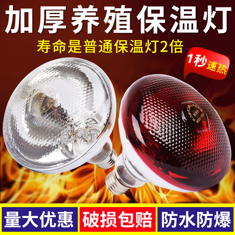 养殖场专用保温灯小鸡仔猪取暖灯