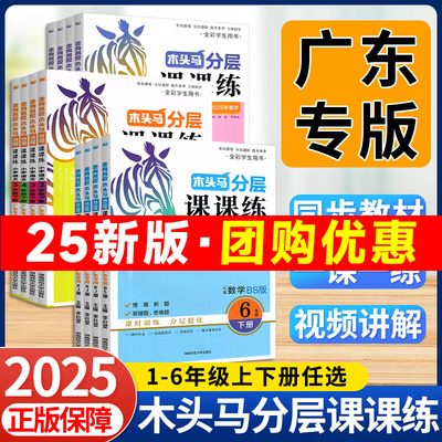 木头马分层课课练【广东专版】