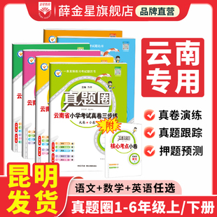 小学真题圈云南专版2025新版语文数学英语上册下册一二三四五六年级云南省考试真卷期中期末同步专项练习测试卷云南省名校练考卷