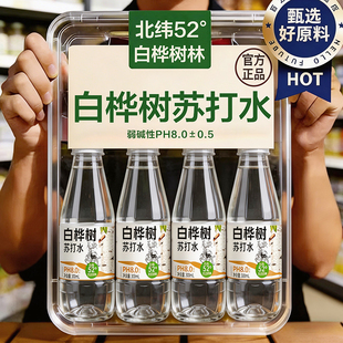 白桦树汁无气苏打水植物饮料低卡脂健康饮品300ml瓶装整箱批特价