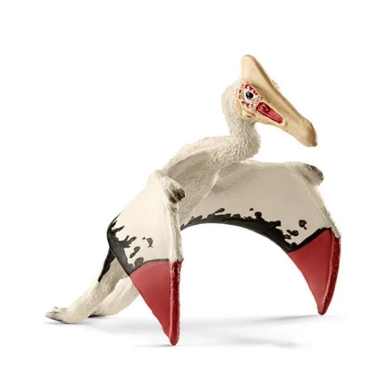 튀니지산 고품질 수입 절판 공룡 모형 핸드메이드 미니 아이올루스 익룡 14539