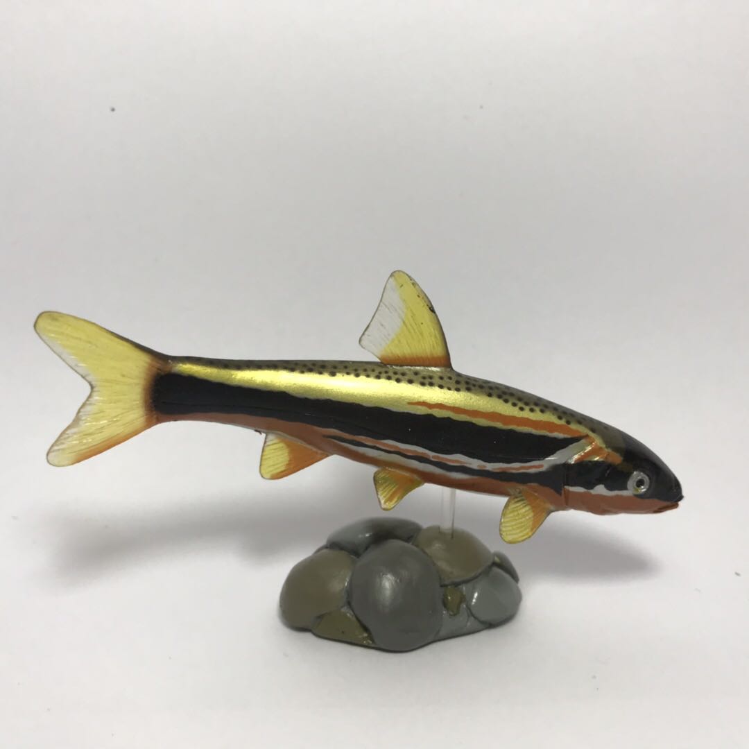 COLORATA 나비 클럽 일본 민물고기 모형 장난감 NO. 3 진주 별 세 조각 물고기 약 9.5 CM 길이