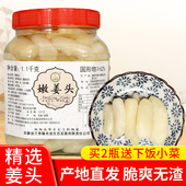 兰香缘嫩姜头仔姜姜芽铜陵生姜糖醋白姜酱汁白姜醋泡姜新鲜姜生姜