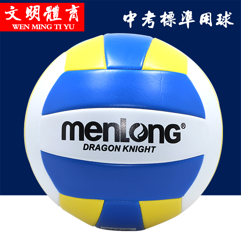 Ballon de volley - Ref 2008561 Image 1