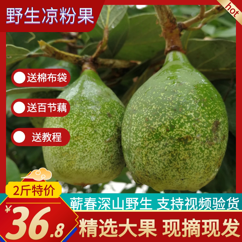 野生天然鬼木馒头奶母凉粉果霹雳木莲果手搓冰粉籽果中药材500g