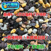 子松兰花植料 普通6 1混合颗粒兰花专用营养土石斛蝴蝶君子兰花土