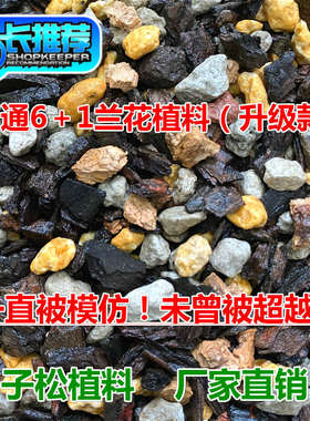 子松混合颗粒6+1兰花植料营养土