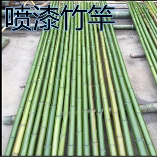 墙上长篱笆贴纸庭院小型拆卸绿色学校篱笆 竹竿 栅栏多层婴幼儿