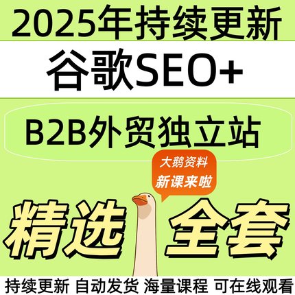 2025B2B外贸独立站建站谷歌SEO获客教程全套视频精讲学习教学课程