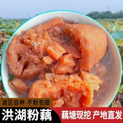 正宗湖北洪湖九孔煲汤粉藕