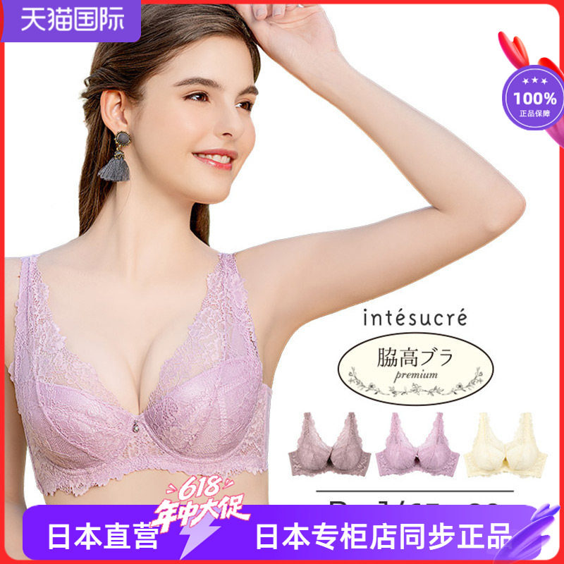 安秀丽 轻奢蕾丝高肋收副乳聚拢大码大杯性感文胸 65 70 HIJ 351