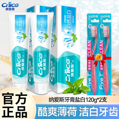 CNICE/纳爱斯牙膏自然盐白120g200g清新口气去除牙垢呵护牙龈健齿