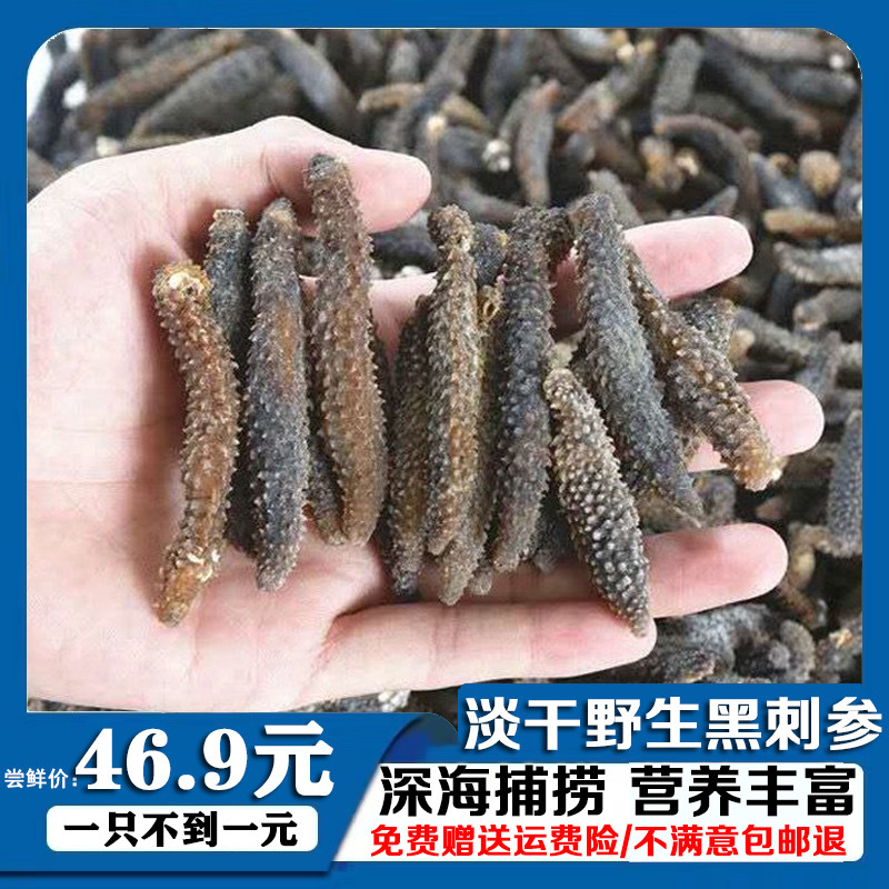 天然野生印尼黑刺参500g海参干货正品刺参纯淡干海参海渗秃参刺参