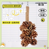 鹦鹉啃咬串松果吊杆磨牙挂件站棒攀爬杆鸟类站架玩具虎皮牡丹玄凤