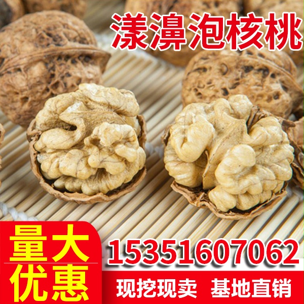 正宗漾濞核桃苗南北方种植庭院地栽大树四季阳台盆栽嫁接薄皮当年