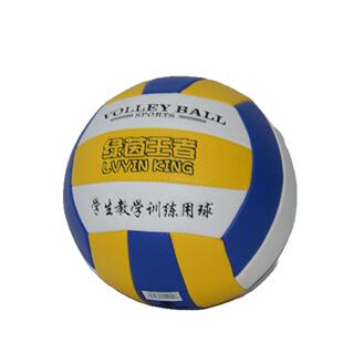 黄气白中人考排球P000219U机缝5号成加厚耐学生训练比赛专用 软式
