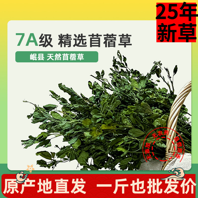 7A级紫花苜蓿草兔子草龙猫荷兰猪