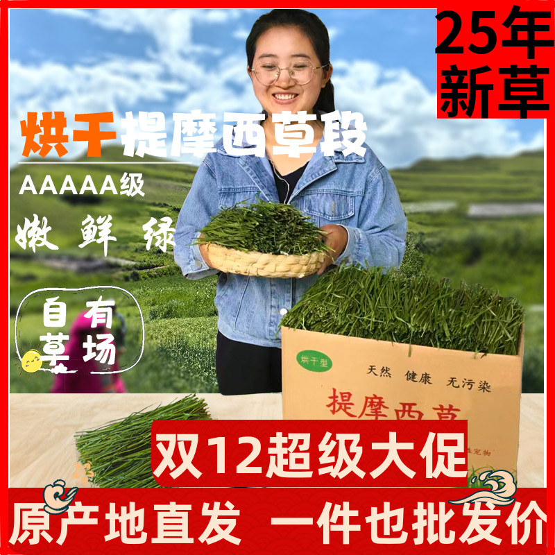 兔友圈热推款5A提摩西草段兔子草