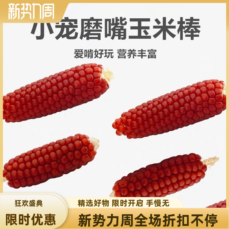 鹦鹉玉米磨牙棒仓鼠零食玉米