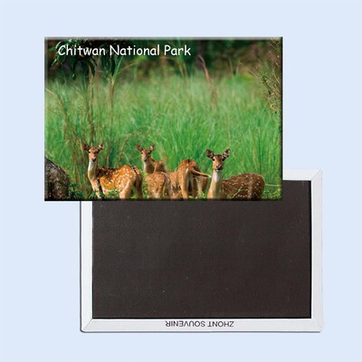 尼泊尔奇特旺国家公园美丽风景创意磁性冰箱贴 旅行纪念品21070