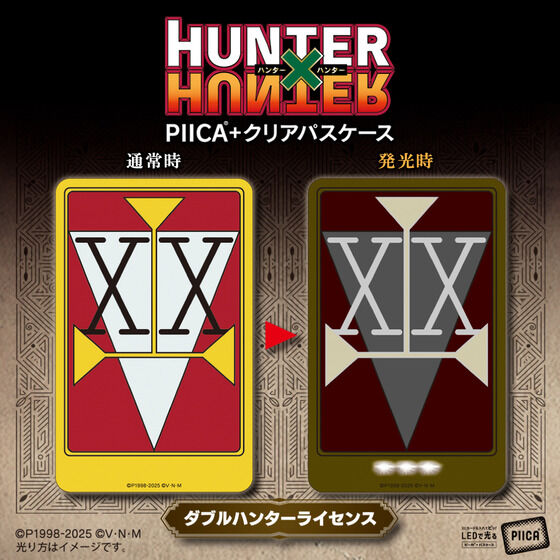 全职猎人HUNTER猎人执照PIICA