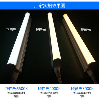 T8一体化LED灯管带插头开关线日光灯管支架T5学生宿舍酷毙直插灯