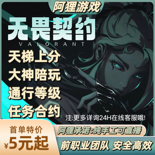 瓦罗兰特无畏契约代练全能教学肝