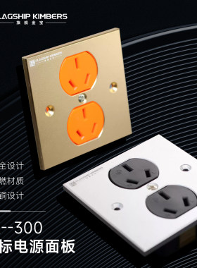 全铜设计 旗舰金宝国标电源面板86x86墙插HIFI音响家用装修 插座