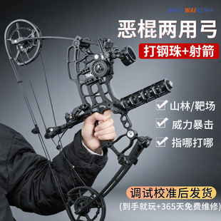 恶棍两用复合弓箭射箭珠子短轴钢珠弓美猎反曲户外高精度滑轮弓c