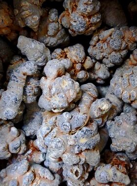 正宗云南文山特级田七一斤二十六头三七优质绿芯切片可磨细三七粉