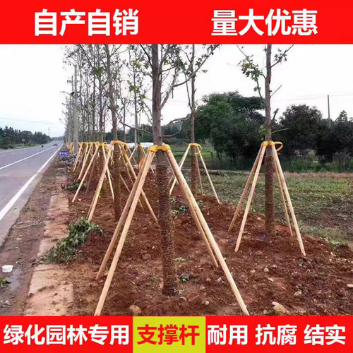树木绿化支撑架杆防风固定器圆木