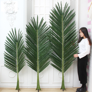 仿真植物热带椰子树叶假扇葵叶大芭蕉叶香蕉叶散尾叶室内户外装 饰