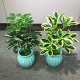 12 -Главные зеленая утка копыта деревянная осенняя утка копыта деревянная ручка ручки пары симуляционного цветочного свадебного растения Стена зеленые растения украшают поддельные цветы