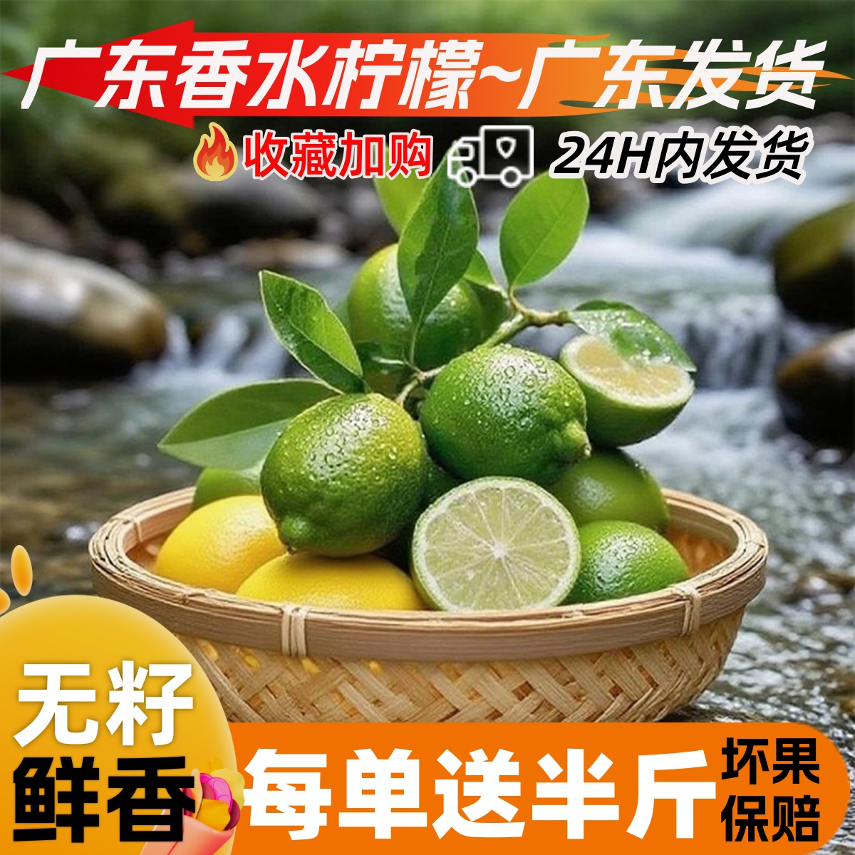 现摘广东无籽香水柠檬奶茶店爆单