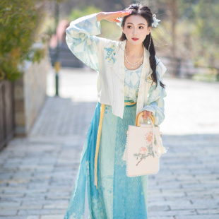 交窬裙刺绣胸针小清新汉服春夏女装 花朝记｜仙女木｜唐背子垂领衫