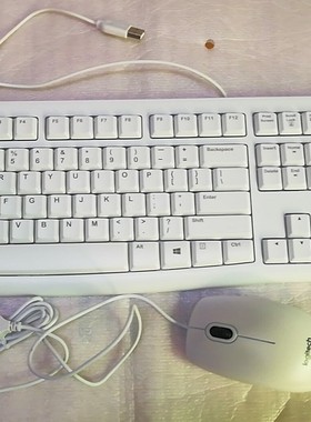 罗技K120键盘 有线键盘 罗技M-U0026有线USB鼠标 白色限量