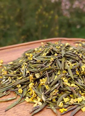新茶明前茶特级金桂雀舌散装绿茶叶全嫩芽纯芽头自家茶厂茶园