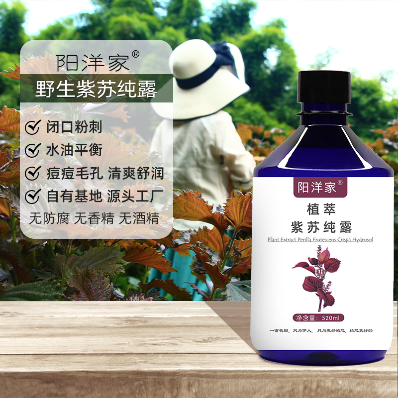 高浓野生双面紫苏纯露520ml 痘痘毛孔闭口粉刺平油爽肤水喷雾