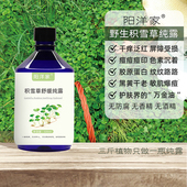 阳洋家520m野生积雪草纯露舒缓敏肌痘痘印补水喷雾爽肤水胶原蛋白