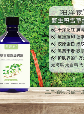 阳洋家520m野生积雪草纯露舒缓敏肌痘痘印补水喷雾爽肤水胶原蛋白