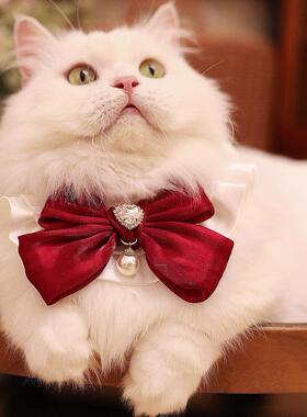 原创宠物项圈口水巾猫咪围脖编制手工制作猫咪项圈布艺伊丽莎白圈