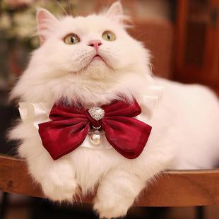 原创宠物项圈口水巾猫咪围脖编制手工制作猫咪项圈布艺伊丽莎白圈