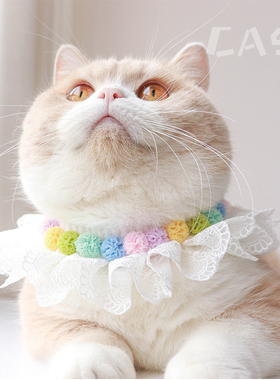 猫咪蕾丝项圈宠物口水巾毛线针织口水兜猫猫围脖围嘴原创新品