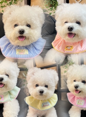 宠物口水巾猫咪狗狗通用布偶约克夏防脏脖套卡通弹力可爱围脖