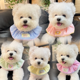 宠物口水巾猫咪狗狗通用布偶约克夏防脏脖套卡通弹力可爱围脖