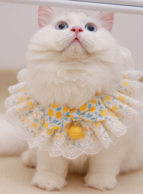 宠物项圈猫咪蕾丝口水巾围脖围巾围嘴拍照饰品猫猫铃铛 配饰领结