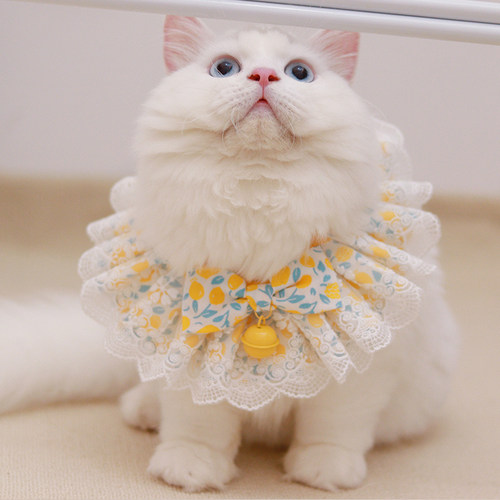 宠物围巾猫咪大中围嘴狗狗比熊